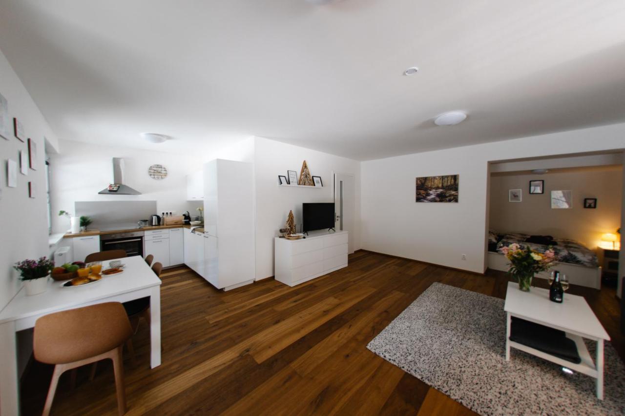 Apartman S Nadhernym Vyhledem V Centru Harrachova 外观 照片
