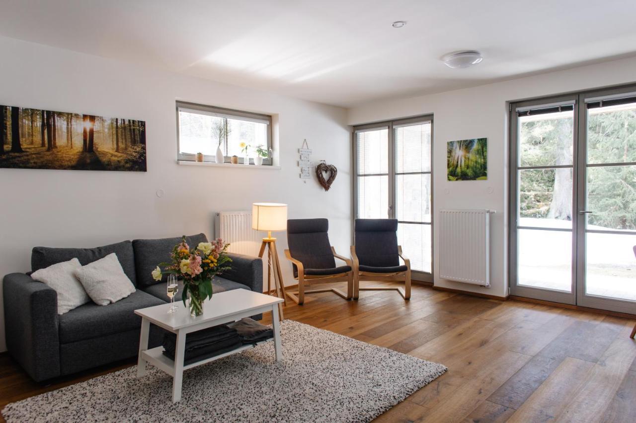 Apartman S Nadhernym Vyhledem V Centru Harrachova 外观 照片